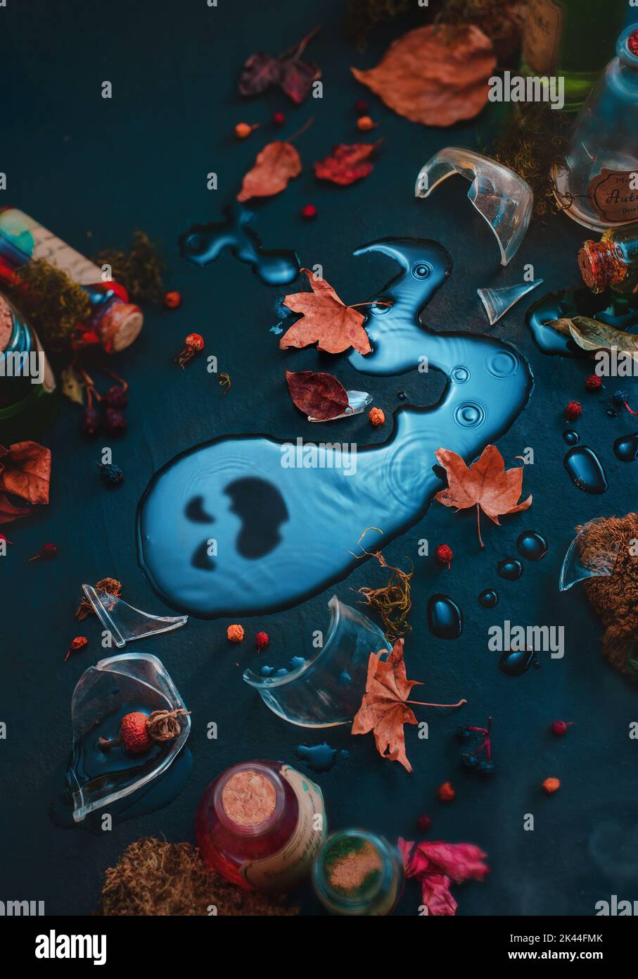 Halloween Flatlay, Geister Silhouette in Regentropfen mit Herbstblättern, kreatives Stillleben Stockfoto