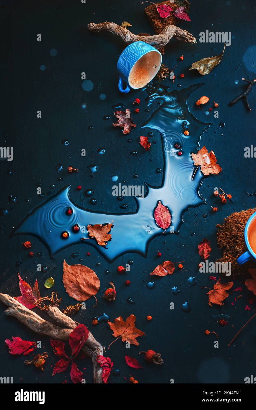 Halloween Flatlay, Fledermaus Silhouette in Regentropfen mit Herbstblättern, kreatives Stillleben Stockfoto