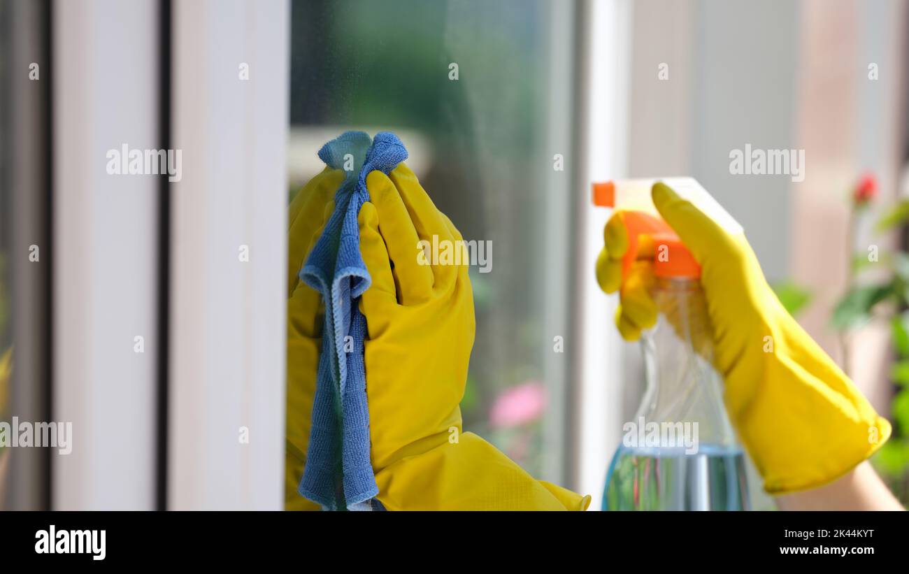 Putzfrau mit Handschuhen wäscht ein Fenster mit Spray und Lappen Nahaufnahme Stockfoto
