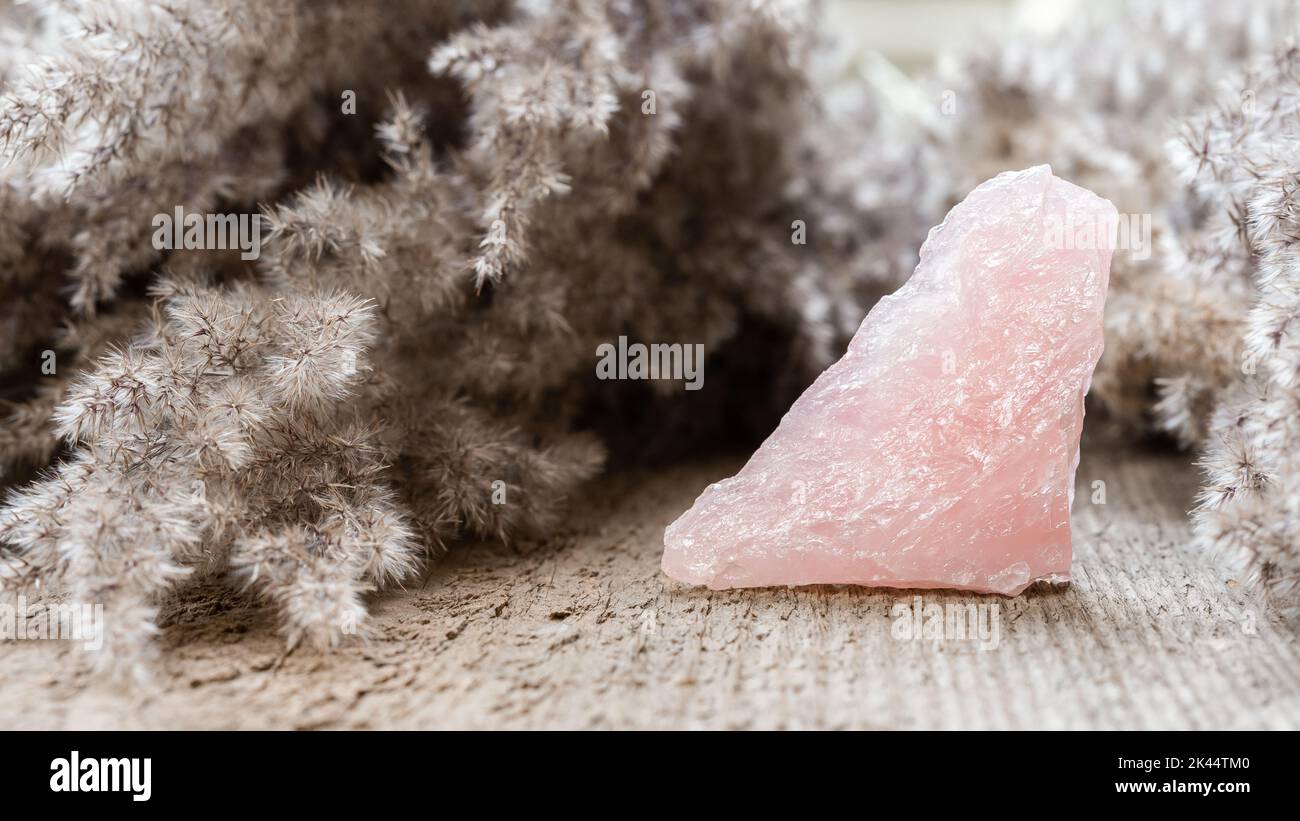 Rosenquarz-Mineralexemplar auf Holzhintergrund. Rosenquarz ist ein heilender rosafarbener Stein, der die Liebe einatert und Gefühle fördert Stockfoto
