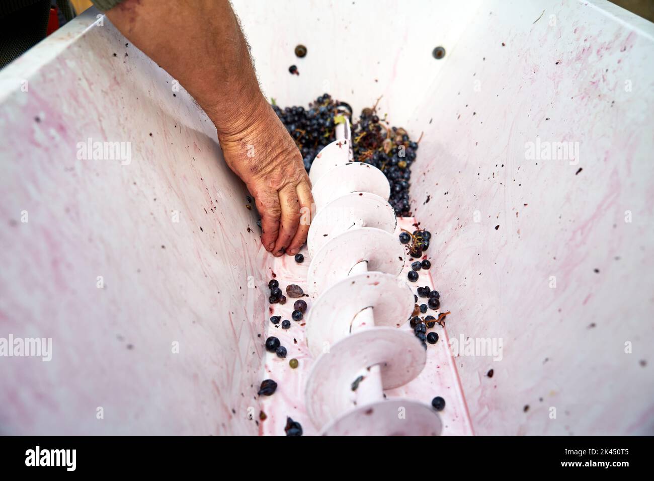 Man Hand mit industriellen Maschinen für die Weinherstellung Stockfoto