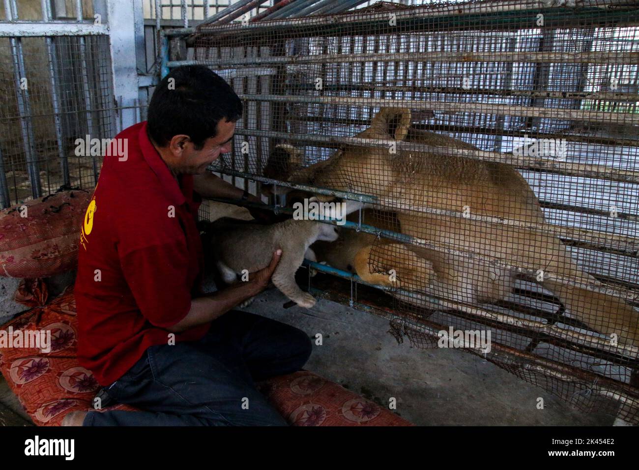 Al zein Fotos und Bildmaterial in hoher Auflösung Alamy