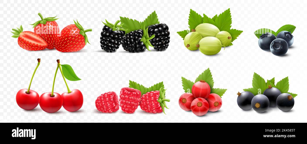 Beerenmischung - Erdbeere, Himbeere, Brombeere, Stachelbeere, Kirsche, Johannisbeere und Heidelbeere mit grünen Blättern, isoliert auf weißem Hintergrund. Realistisch Stock Vektor