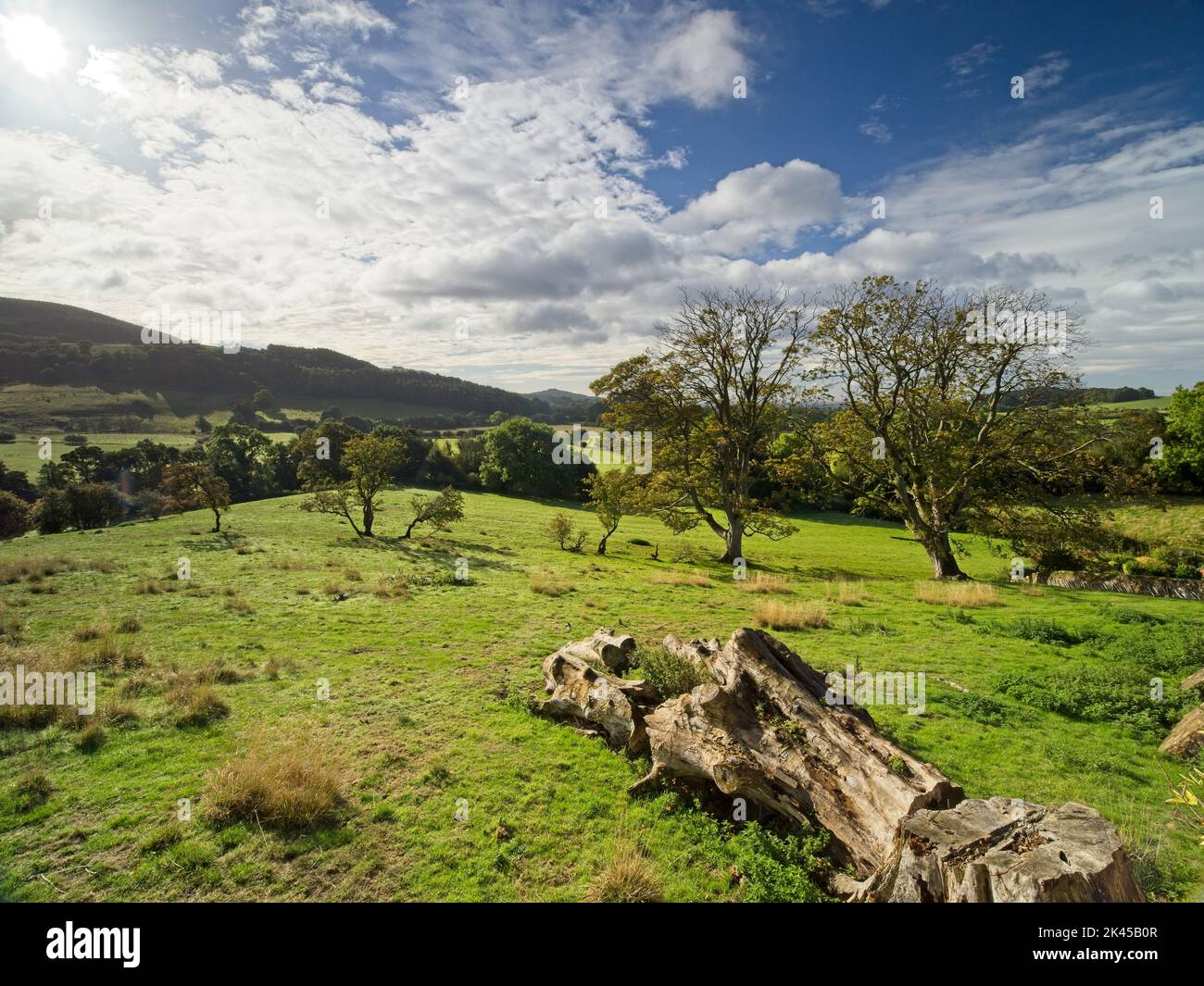 Der Blick auf den Cleveland Way National Trail von Bolyby im North York Moors National Park in North Yorkshire. Stockfoto