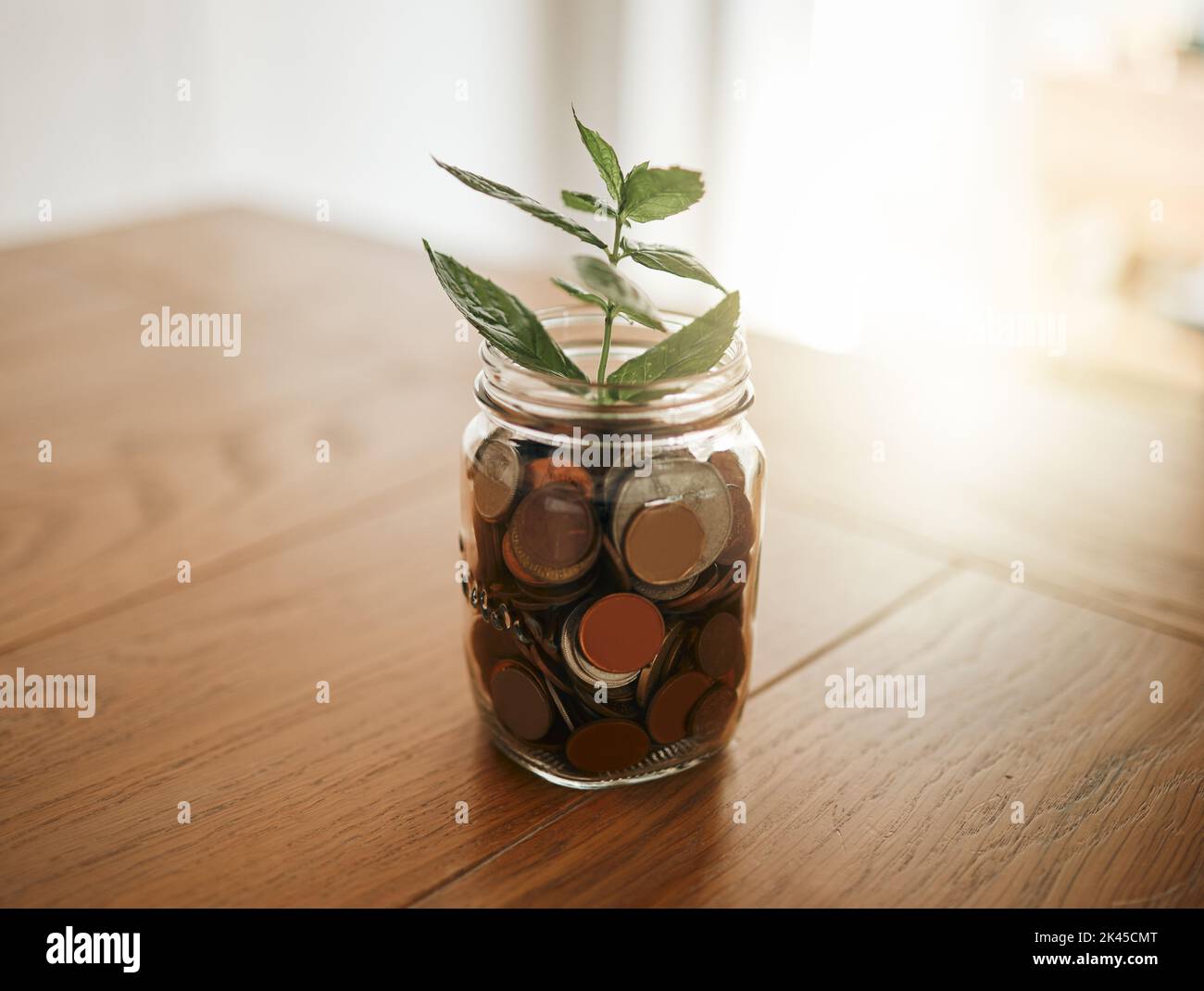 Wachstum, Investitionen und Wirtschaft mit Geld und Werk in einem Glas für die Finanz-, Cash- und Sparplanung. Zukunft, Nachhaltigkeit und Cash-for-Budget Stockfoto