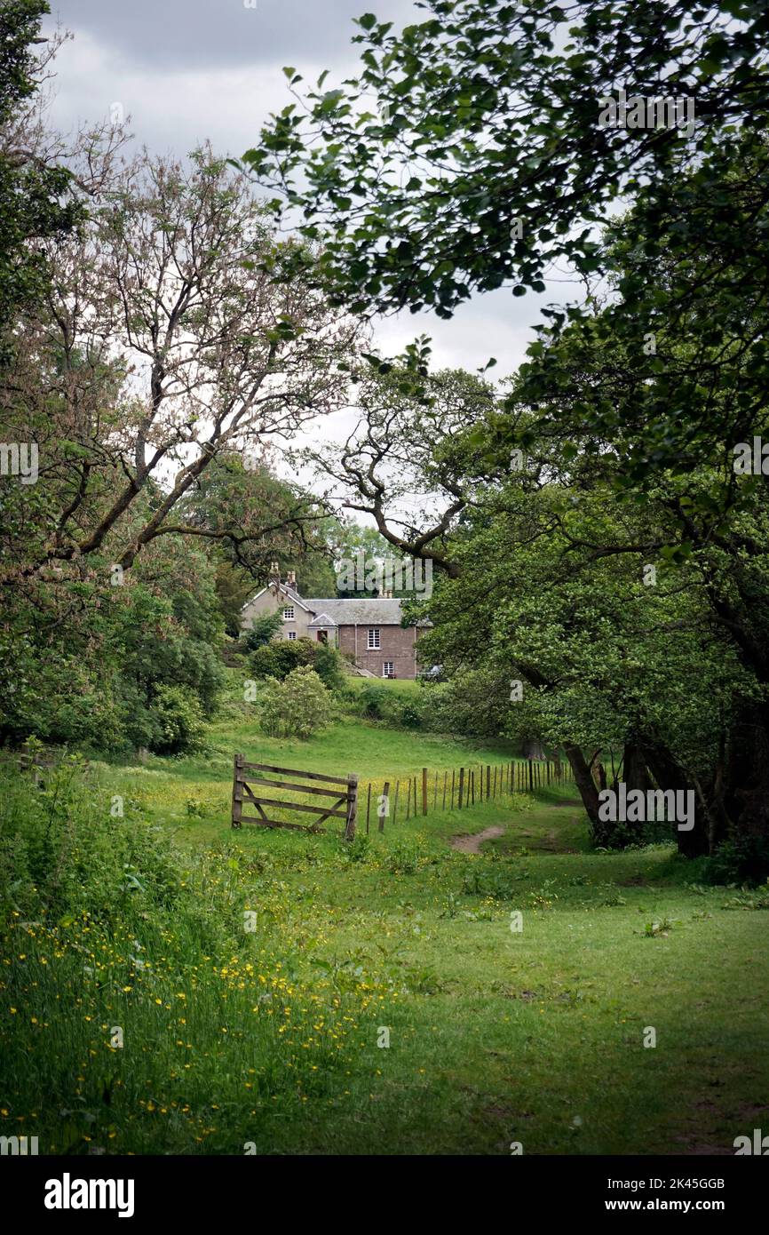 Isoliertes ländliches Landhaus in einem Baumbestand von Surlingham norfolk england Stockfoto