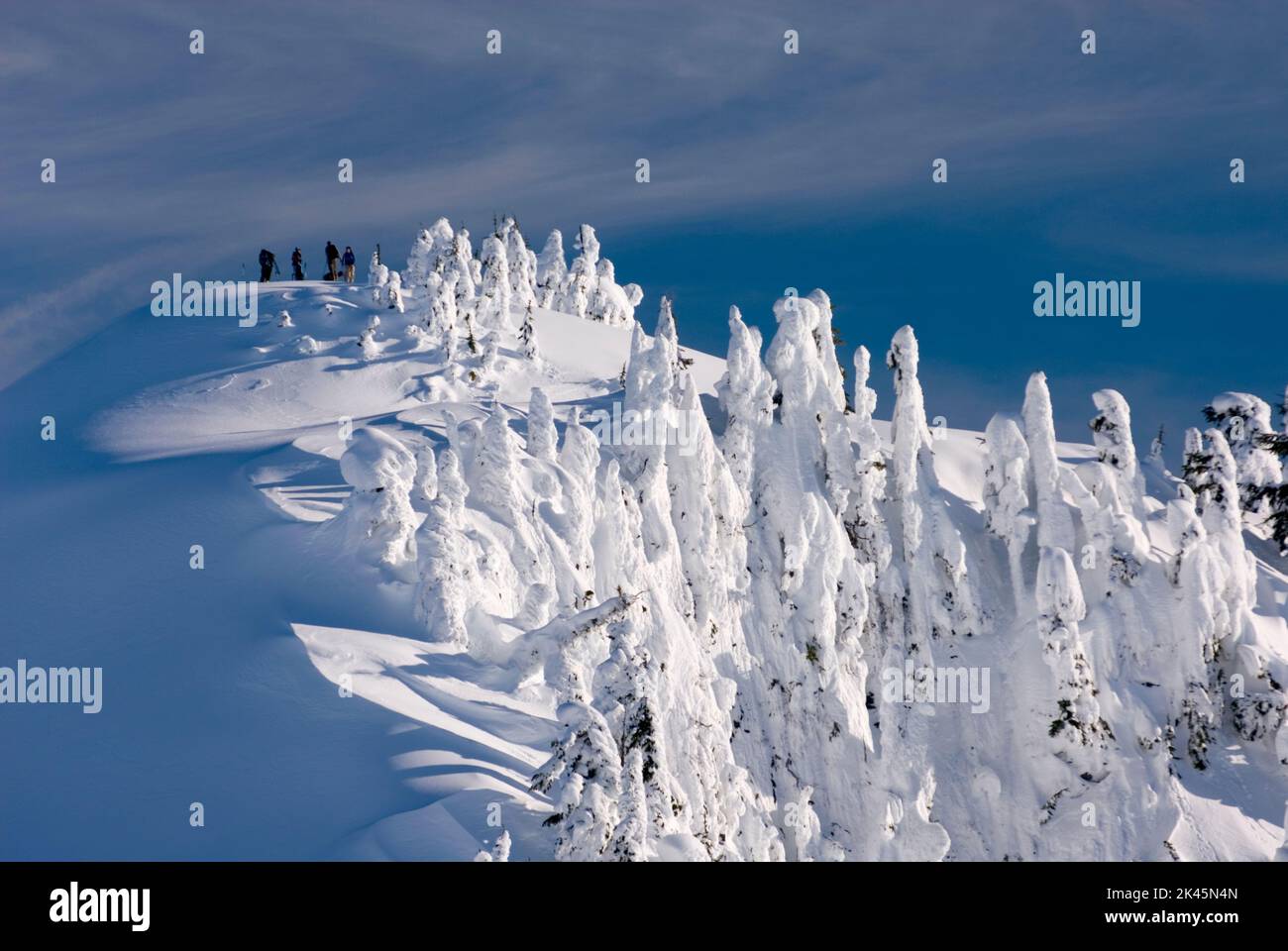 Winterschnee in den Bergen der Nordkaskaden, erhöhte Sicht auf Sonnenlicht auf Eisformationen auf Bäumen., Stockfoto