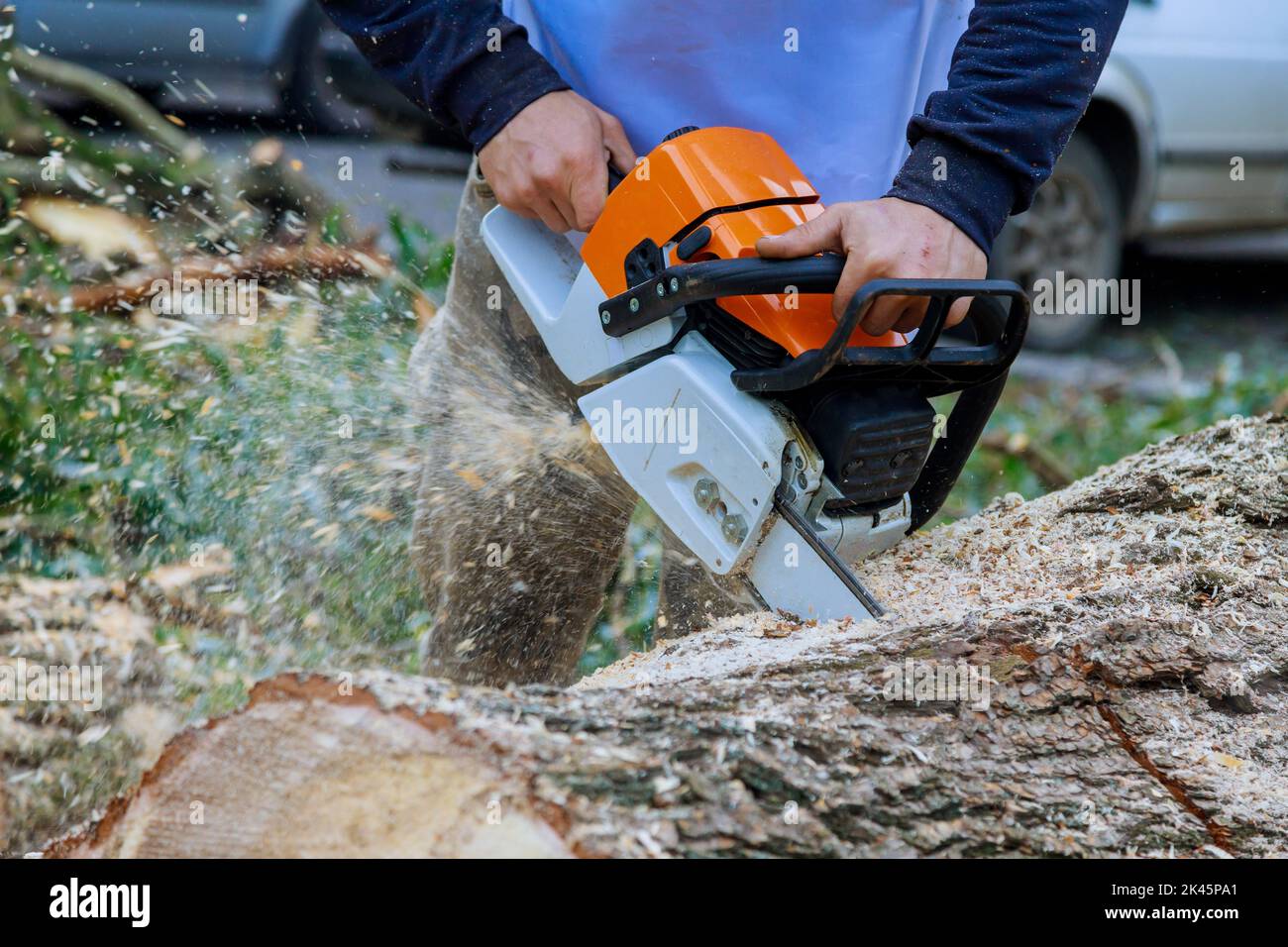 Während eines Hurrikans sägte ein Arbeiter mit einer Kettensäge durch den Baumsturz und stürzten Bäume auf den Asphalt Stockfoto