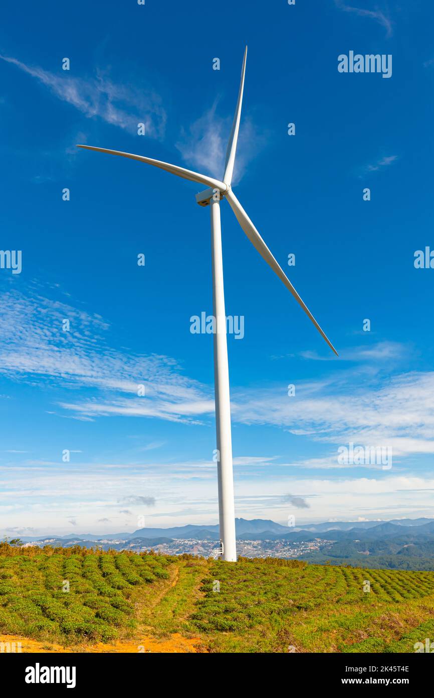 Erneuerbare Energien Windräder Windmühle isoliert am schönen blauen Himmel und auf den Teefeldern in Da Lat Stadt, Lam Dong, Vietnam Stockfoto