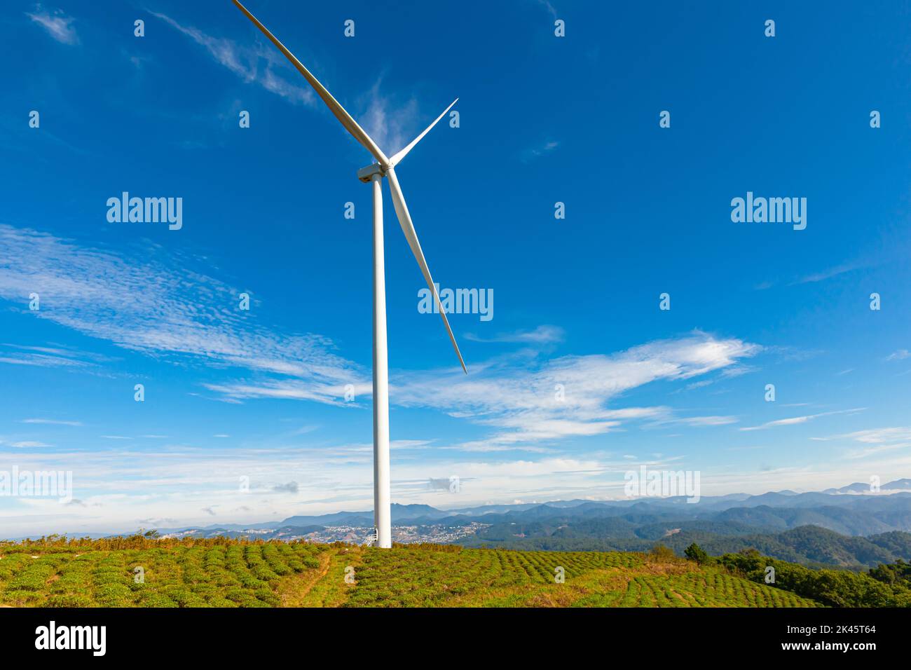 Erneuerbare Energien Windturbinen Windmühle isoliert am schönen blauen Himmel und auf den Teefeldern Stockfoto