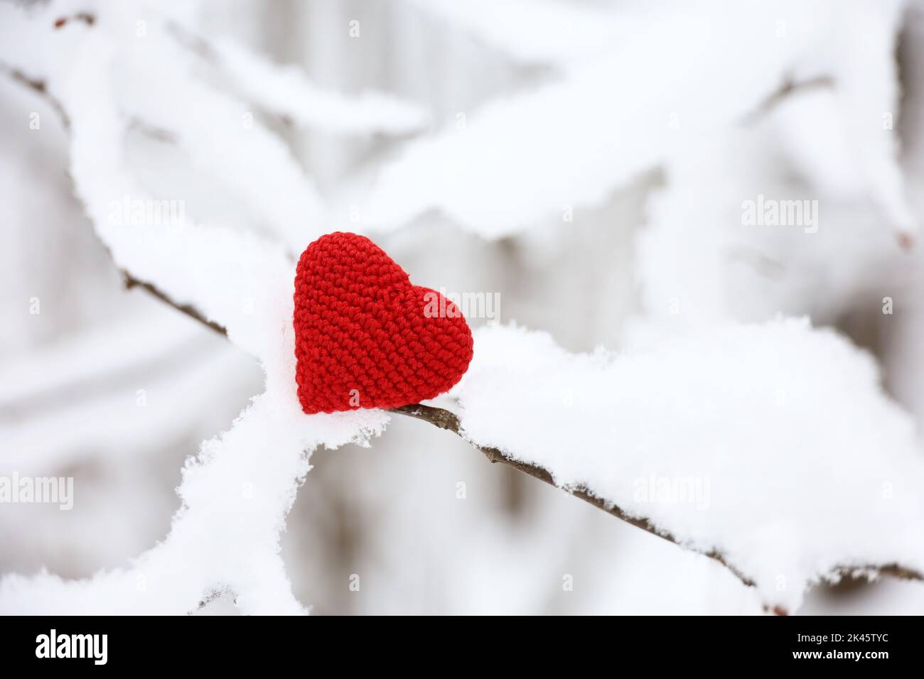 Valentine Herz im Winterwald, kaltes Wetter. Rot gestricktes Herz auf schneebedeckten Ästen, Symbol der romantischen Liebe, Weihnachtsfeiertag Stockfoto
