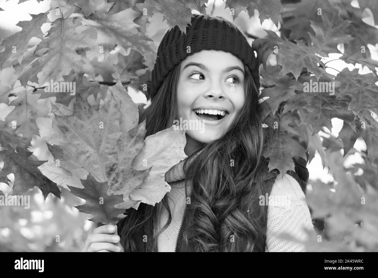 Glückliches Kind bei Ahornbaum roten Zweig. Herbst Natur. Schönes Gesicht Porträt. Stockfoto