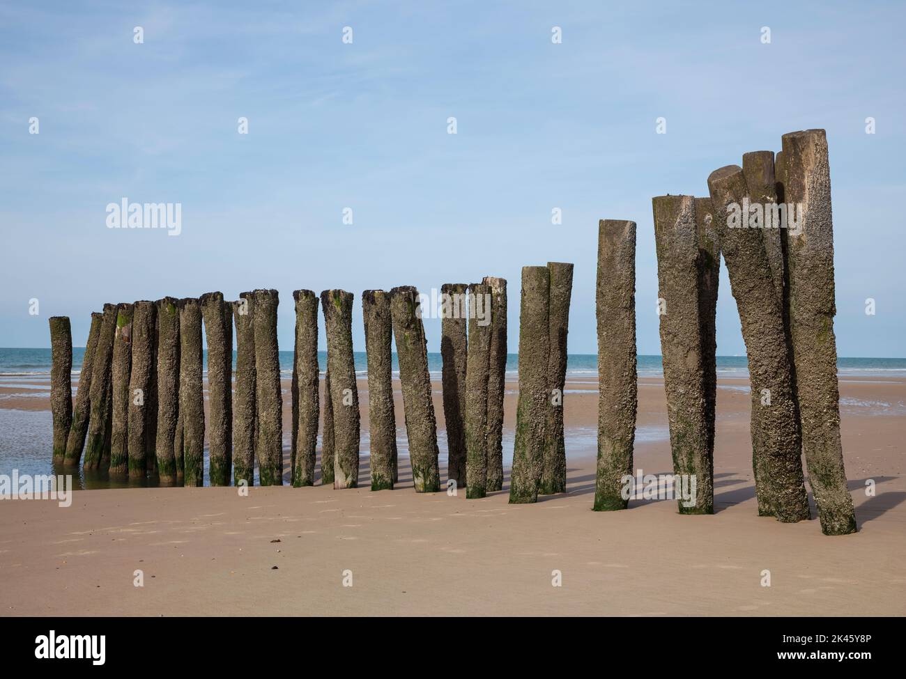 Holzpfosten an einem französischen Strand Stockfoto