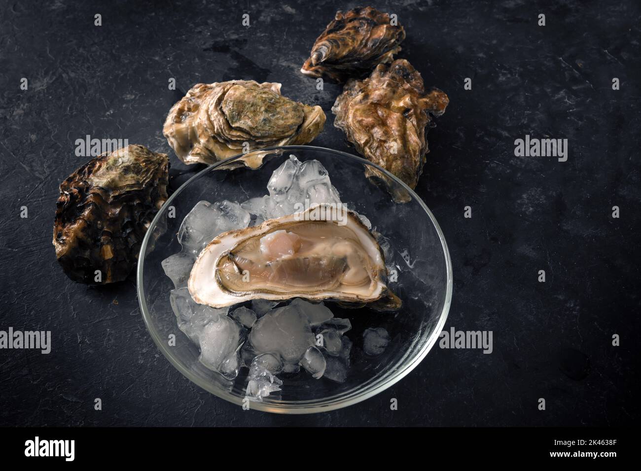 Öffnen Sie Auster auf zerkleinertem Eis auf einer Glasplatte und geschlossene Austern auf einem dunklen rustikalen Hintergrund, Kopierraum, Draufsicht von oben ausgewählter Fokus Stockfoto