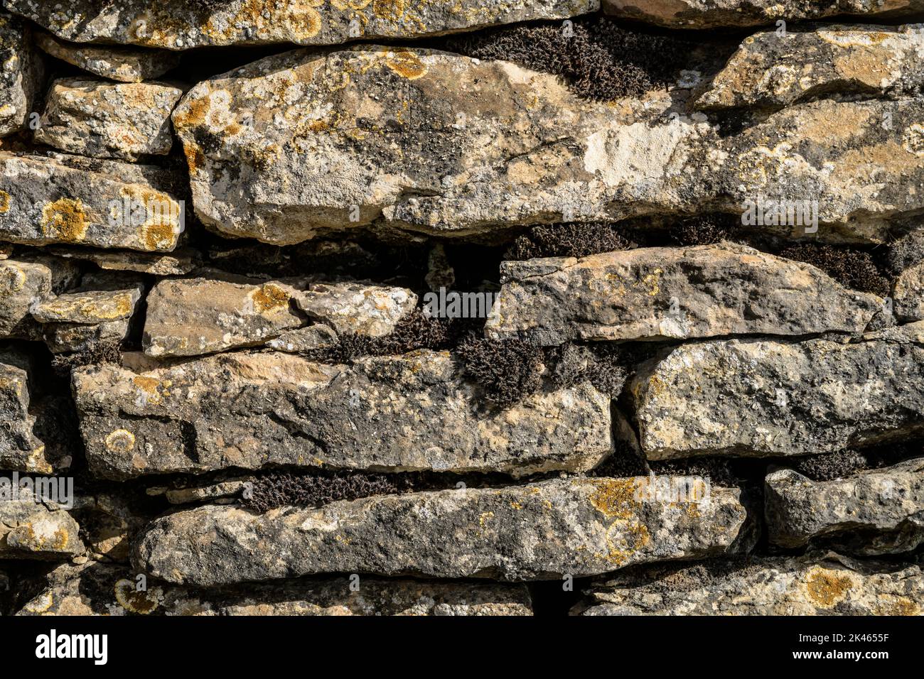 Trockensteinmauer, die einige der Weinberge in der Beaune-Region, Burgund, Frankreich, umschließt. Stockfoto
