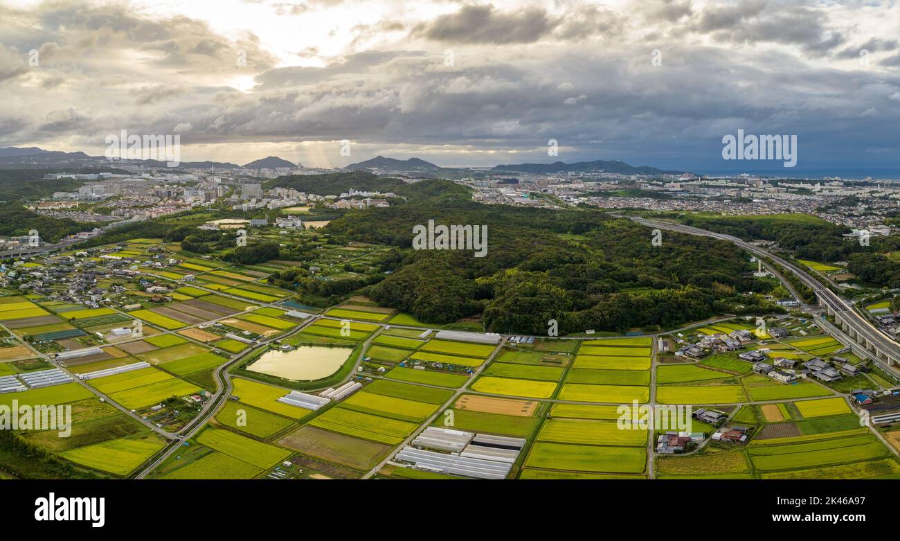 Panorama-Luftaufnahme von Reisfeldern in ländlicher Umgebung an stürmischen Tag Stockfoto