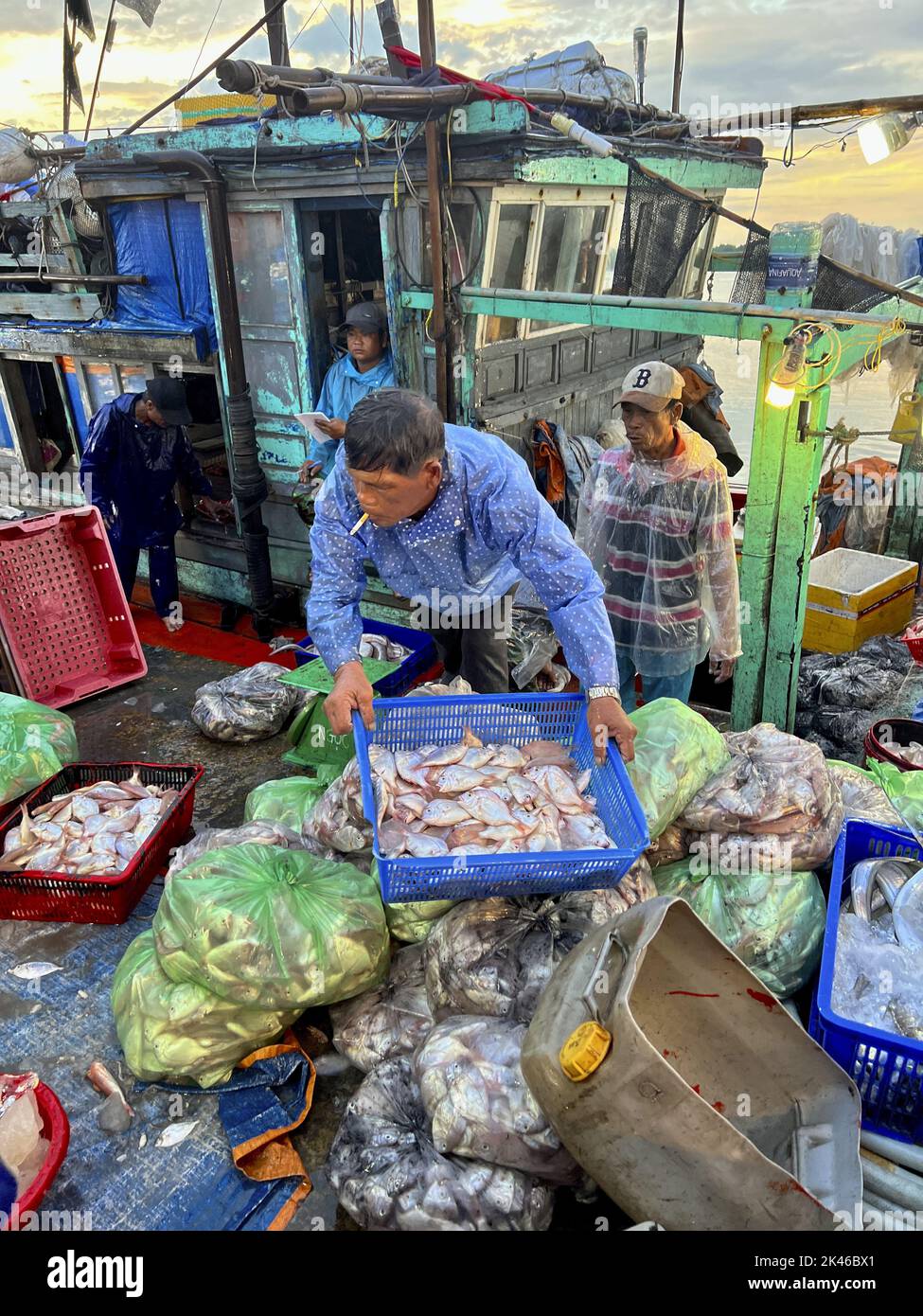 Cho Thanh Ha, Fischmarkt, Hoi An, Provinz Quang Nam, Vietnam, Meeresfrüchte, Einkaufen Stockfoto