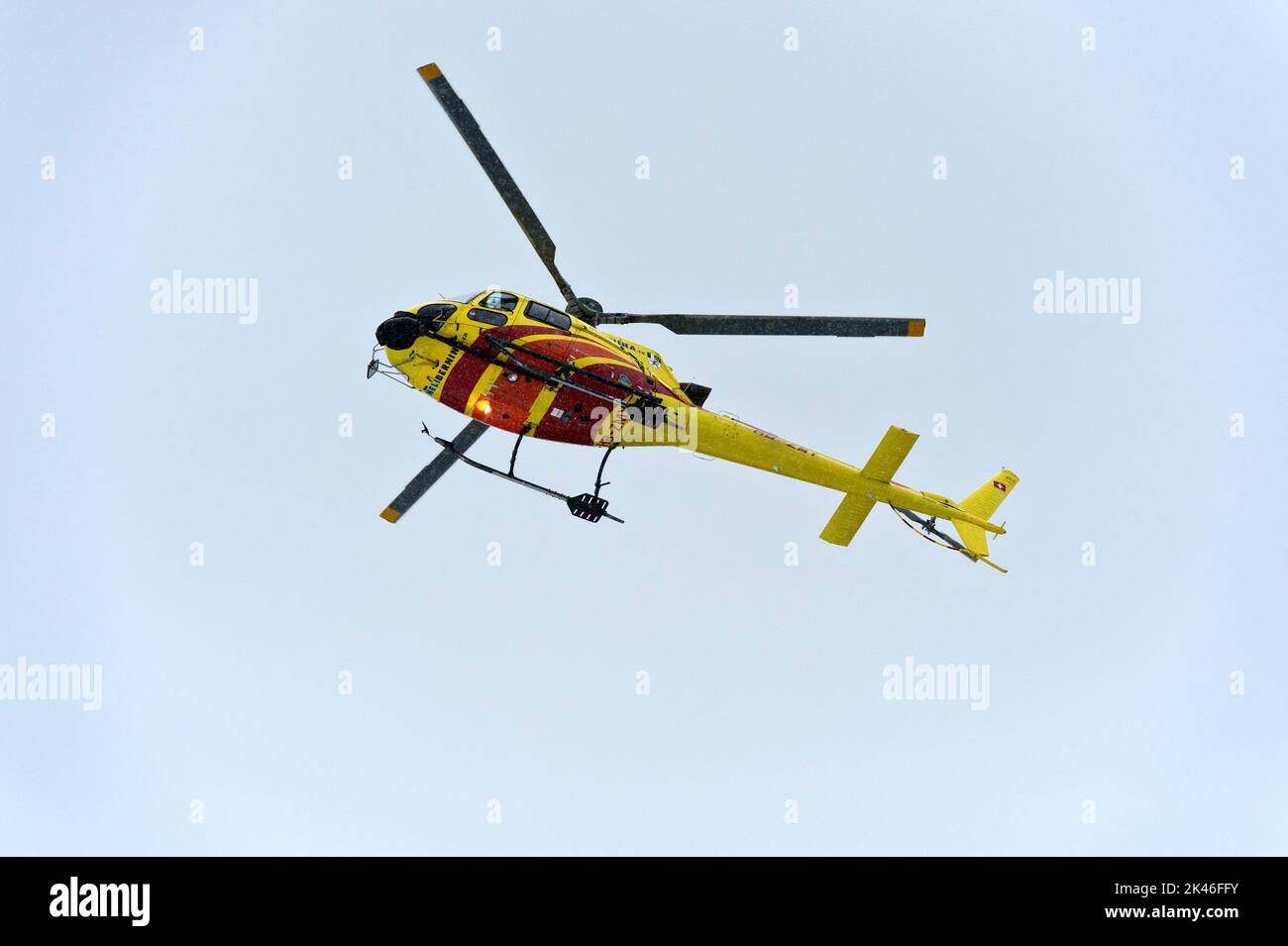 Airbus Helicopters H125 HB-ZMY der Heli Bernina AG im Flug bei Schneefall, St. Moritz, Graubünden, Schweiz Stockfoto