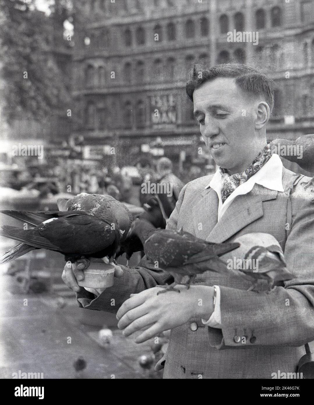 1958, historisch, Tauben, die auf der Hand und den Armen eines Mannes sitzen, einige füttern aus einer Dose Erbsen am Trafalgar Square, Westminster, London, England, Großbritannien. In dieser Zeit und später wurde die Fütterung der Wildvögel auf dem Platz erlaubt und Händler verkauften Dosen von Lebensmitteln, aber um die Wende des Jahrzehnts, nachdem Millionen Pfund Renovierung in der Gegend stattgefunden hatten, wurden Abschiedsgesetze eingeführt, um die Fütterung zu verbieten. Stockfoto