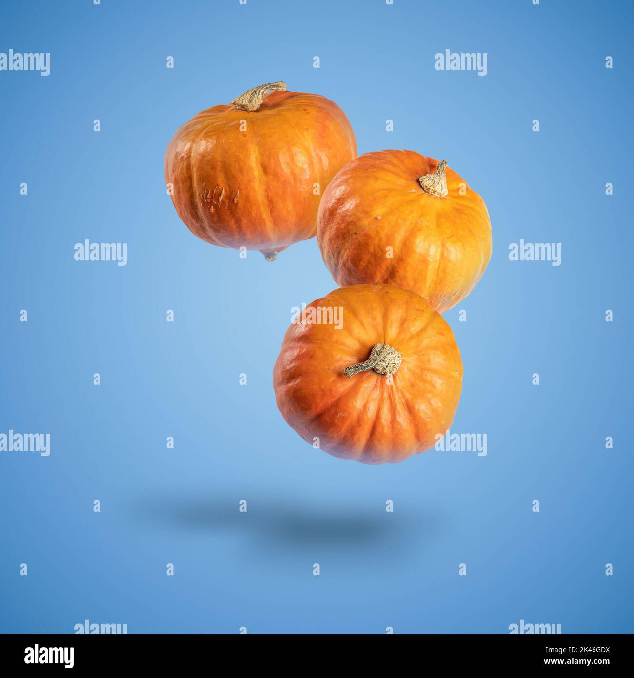 Drei Kürbisse schweben auf einem blauen Hintergrund. Halloween und Thanksgiving Hintergrund Stockfoto