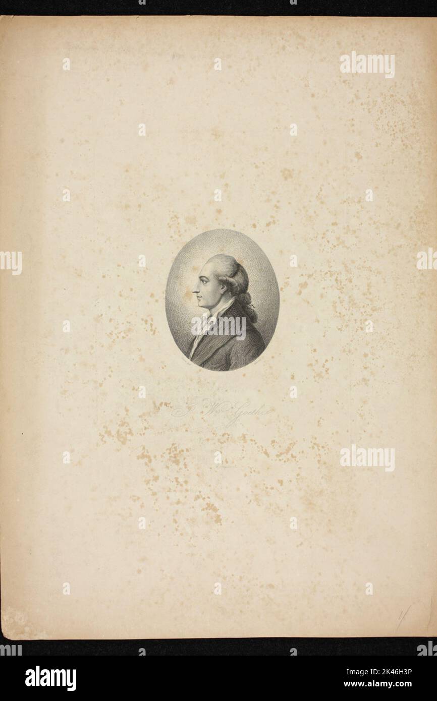 Porträt von J. W. Goethe Stockfoto