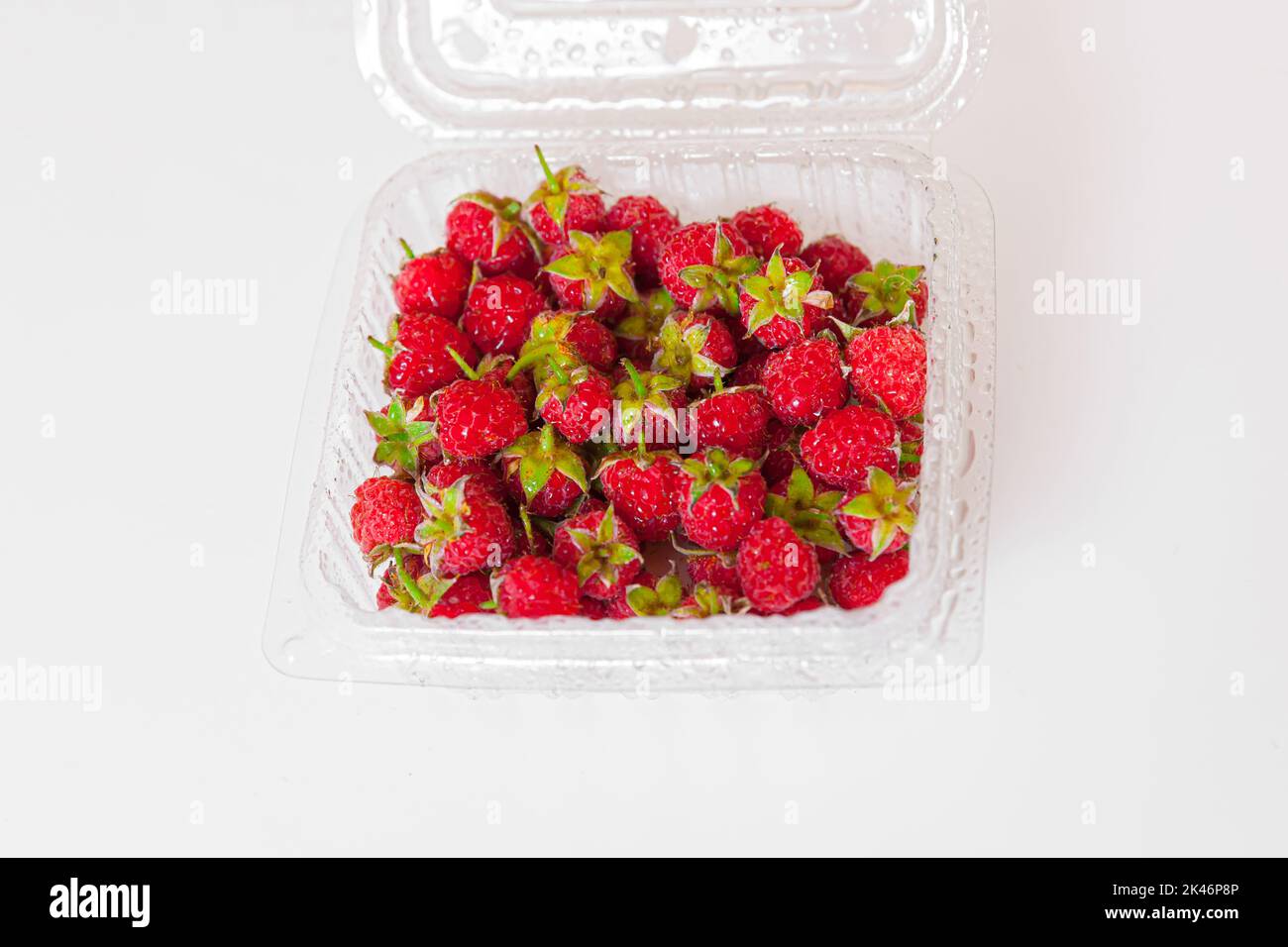 Frische Himbeeren in Plastikbox isoliert auf weißem Hintergrund Stockfoto