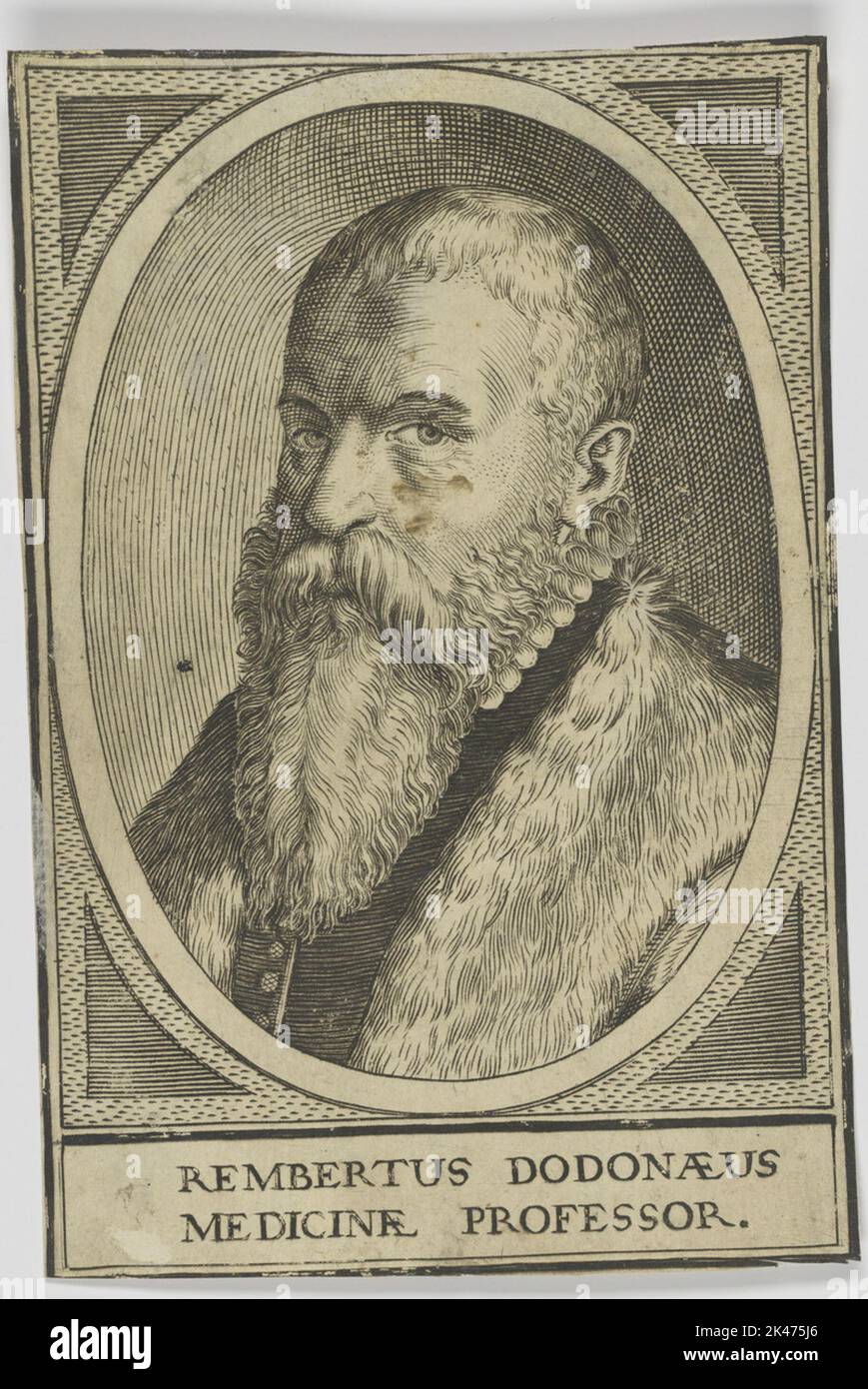 Porträt von Rembertus Dodonaeus Stockfoto