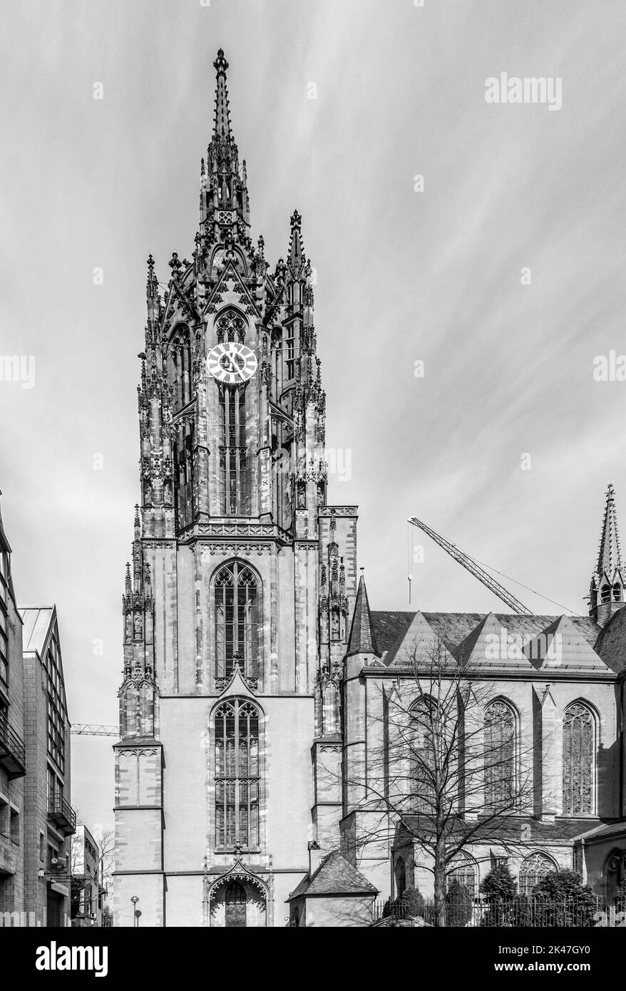 Berühmter Frankfurter Kathedral mit hohem Bergfried unter blauem Himmel Stockfoto