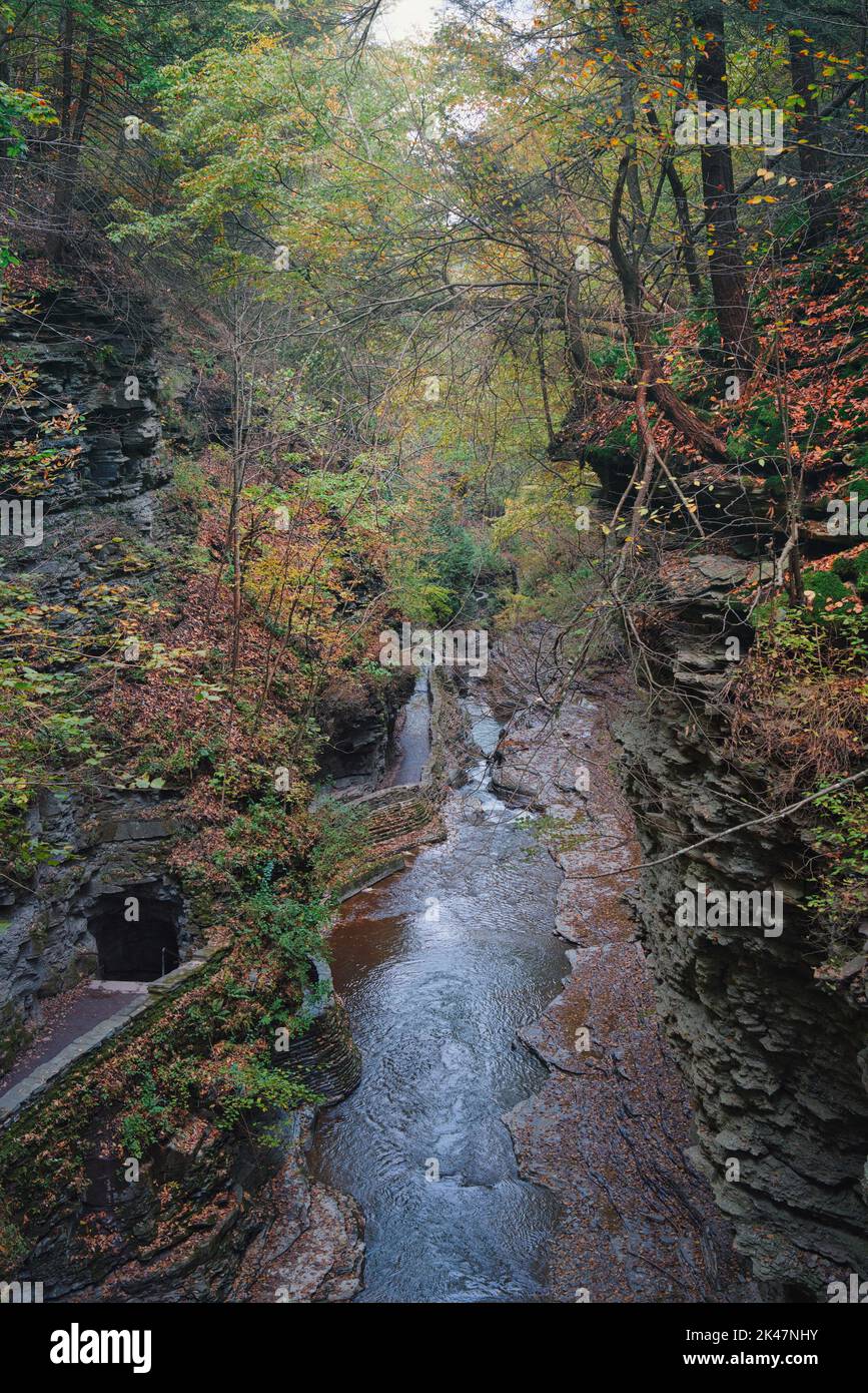 Foto des Watkins Glen Nationalparks im Herbst Stockfoto