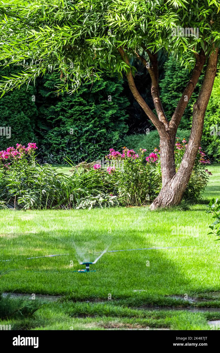 Hinterhof Design-Elemente eines schönen privaten Hauses. Stockfoto