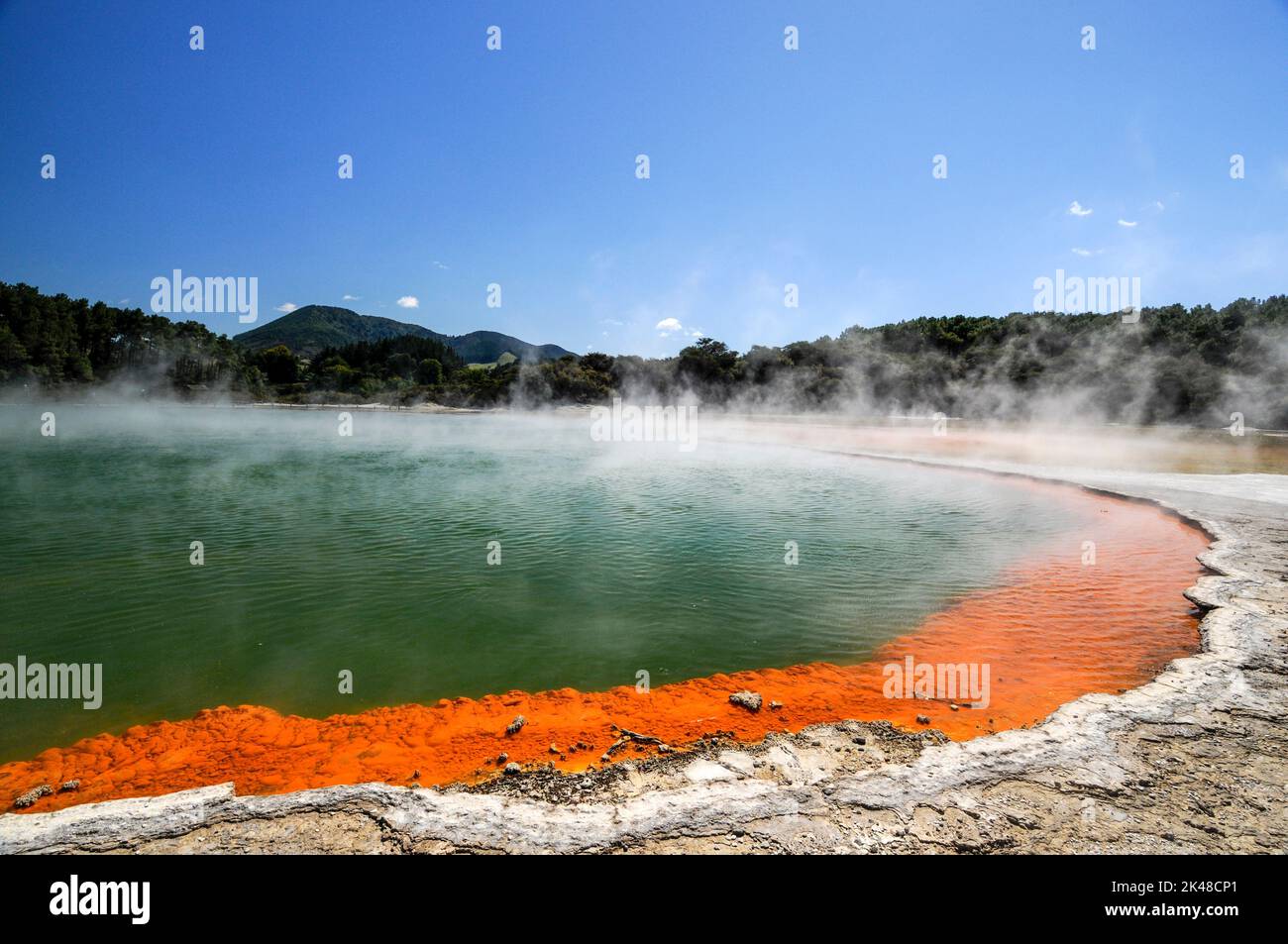 Der Dampf hebt sich über die lebhafte, antimonorangene Farbe, die sich am Rand des Champagnerpools bildet. Es befindet sich im Wai-O-Tapu Thermal Wonderlan Stockfoto