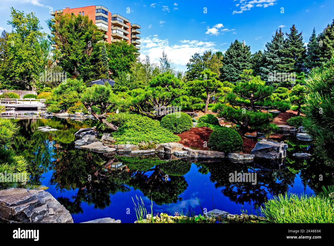 Blick auf den Teich des Botanischen Gartens in Denver, Colorado, USA. Stockfoto