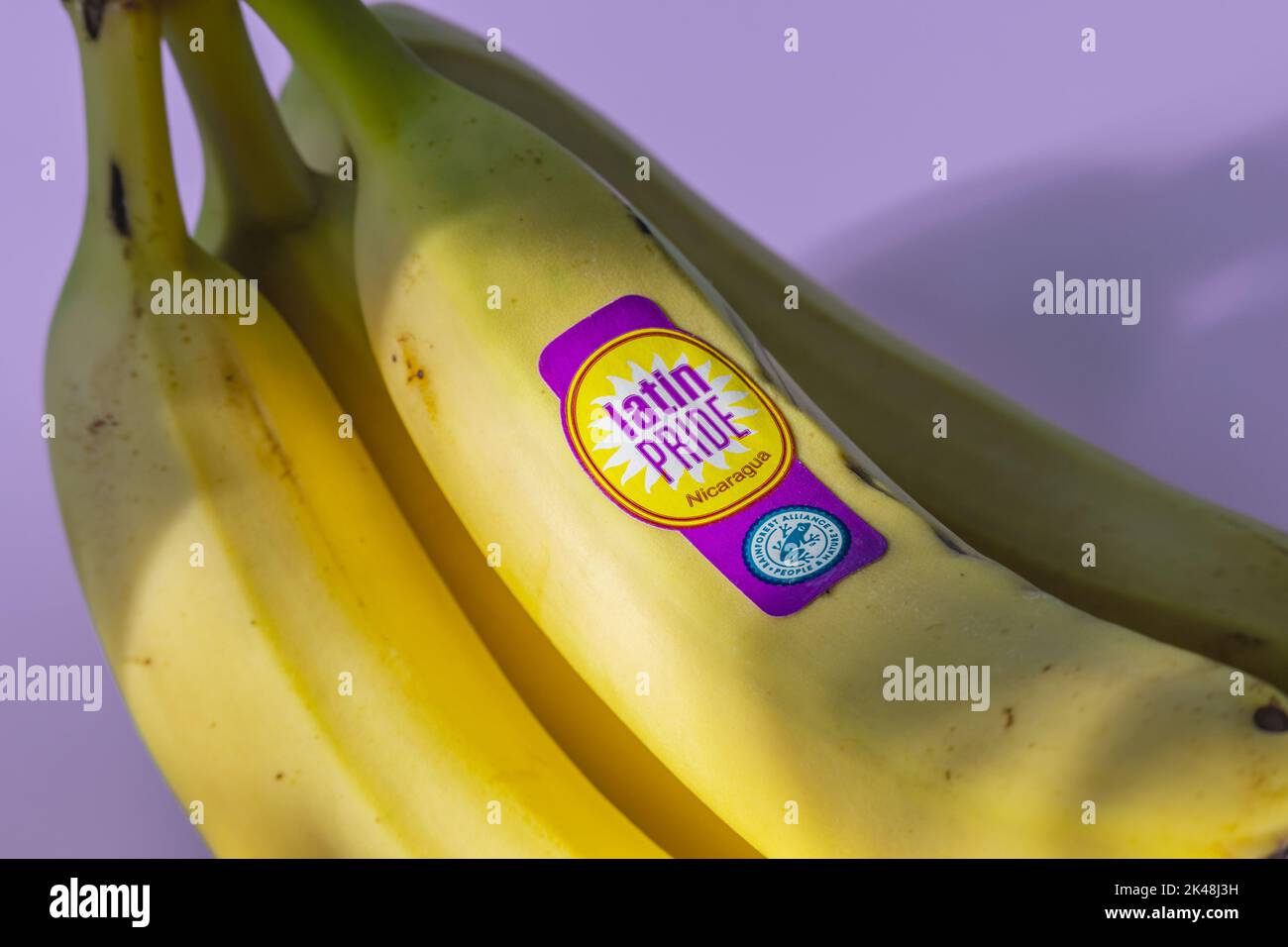 Lateinamerikanische Pride-Bananen aus Nicaragua, die mit dem Rainforest Alliance Certified Seal gekennzeichnet sind. Stockfoto