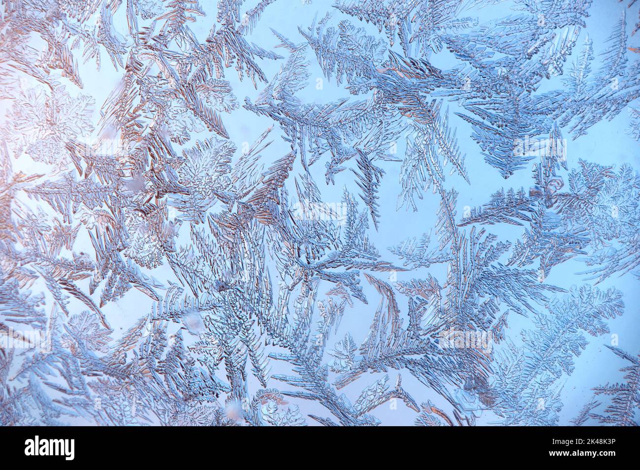 Frostblaues Muster. Makro-Foto von echten Schneeflocken. Schöne, kunstvolle Struktur und elegante Form. Element des Designs. Stockfoto