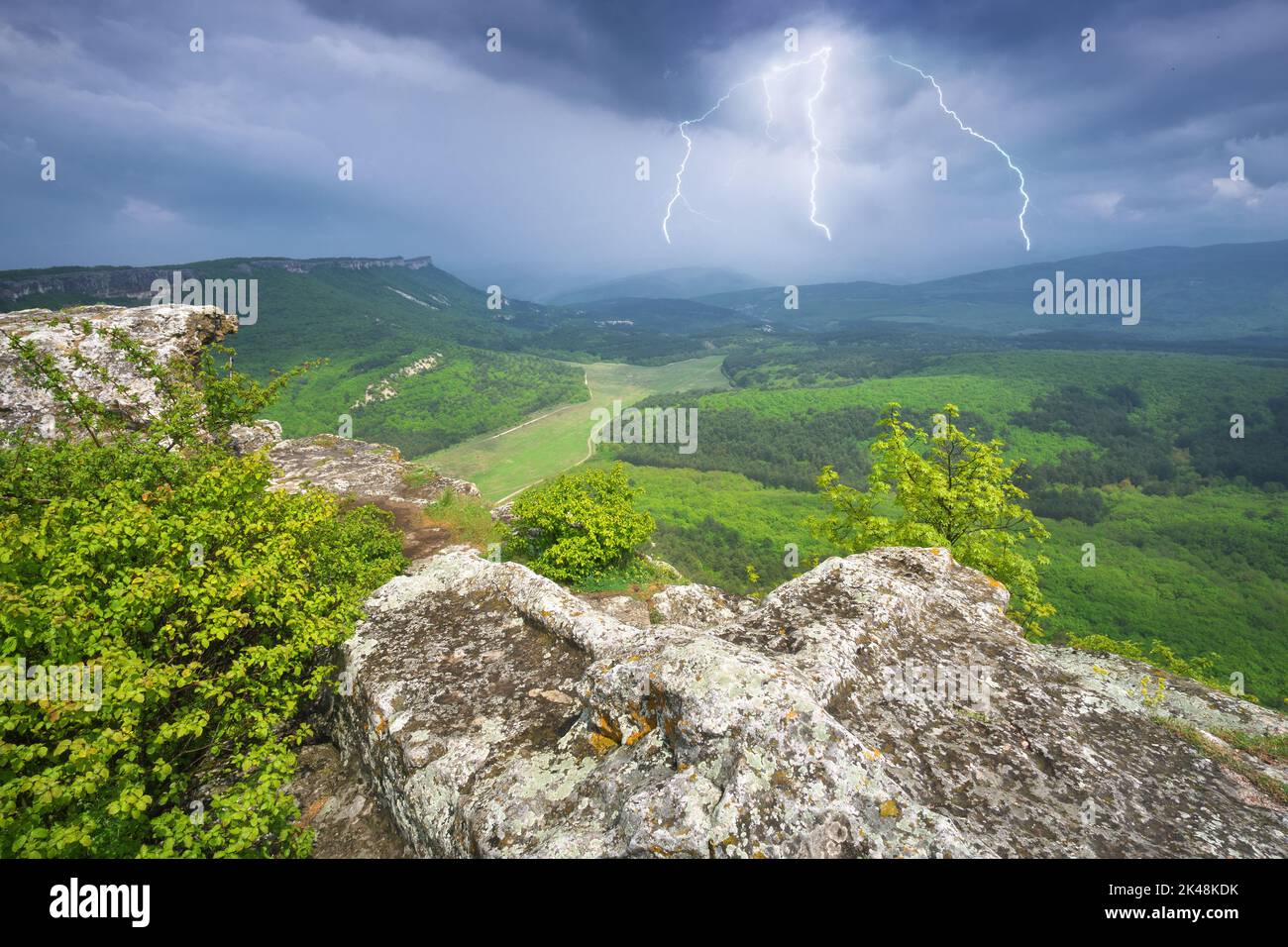 Blitze in der Bergwiese. Naturzusammensetzung. Stockfoto