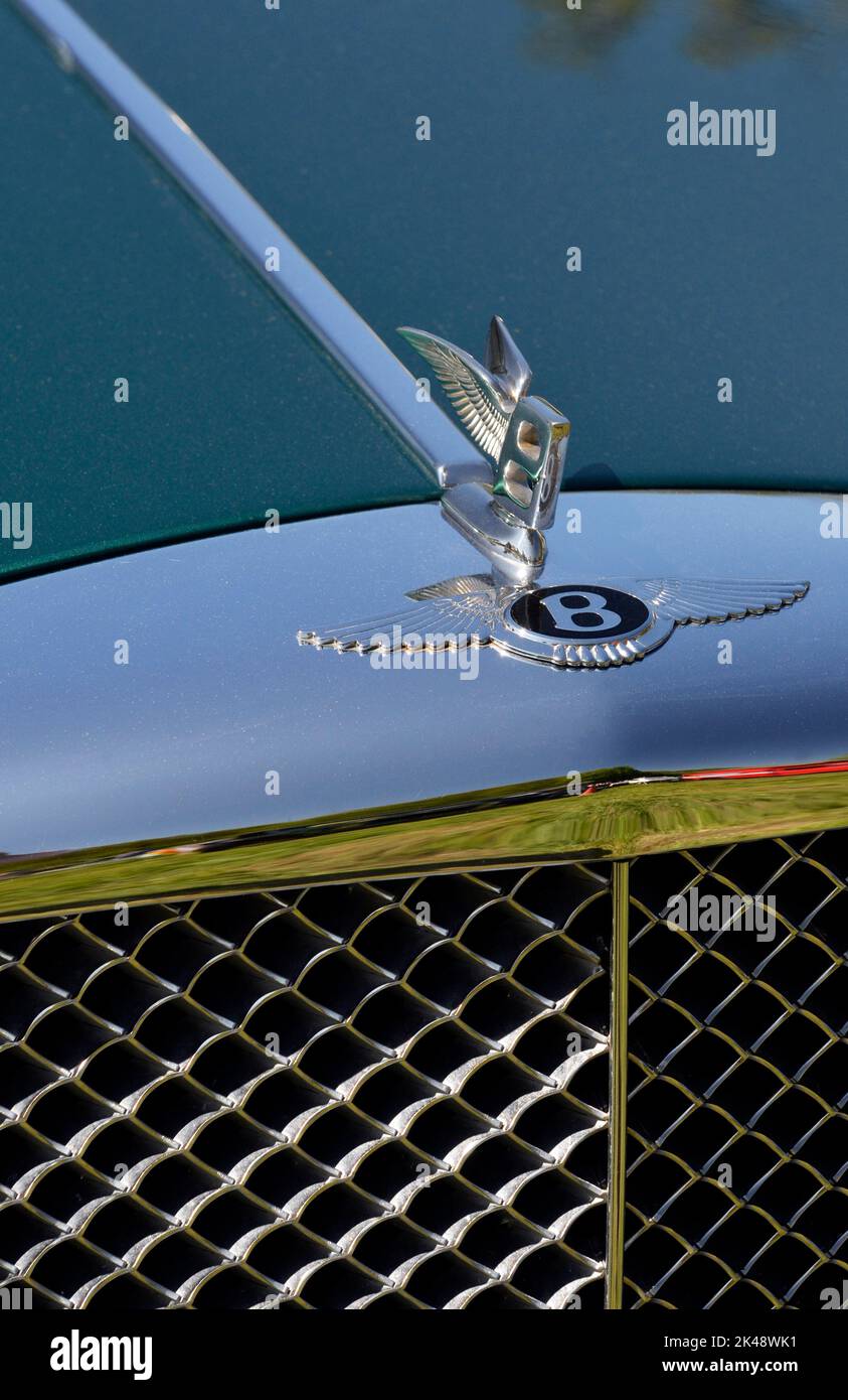 bentley Kühlergrill und Motorhaube Maskottchen Stockfoto