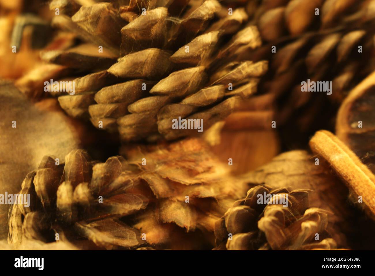 Abstrakte Herbst-, Urlaubs- oder Weihnachtsdeko-Tapete mit Pinienzapfen - Stillleben verschwommen vor Hintergrund. Stockfoto