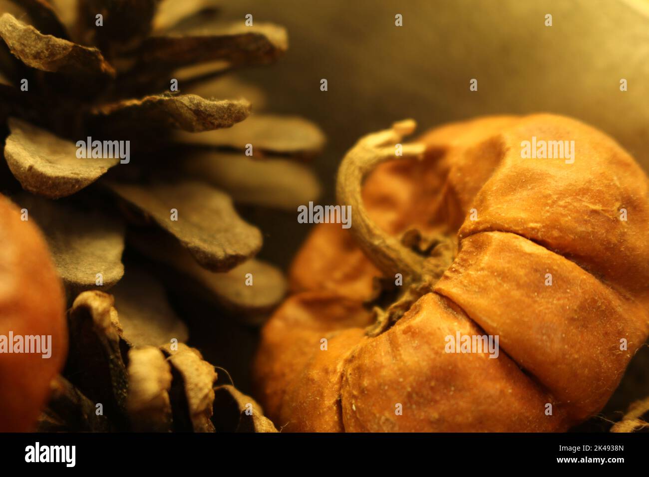 Abstrakte Herbst-, Urlaubs- oder Weihnachtsdeko-Tapete mit Tannenzapfen und kleinen Kürbissen - Stillleben verschwommener Hintergrund. Stockfoto