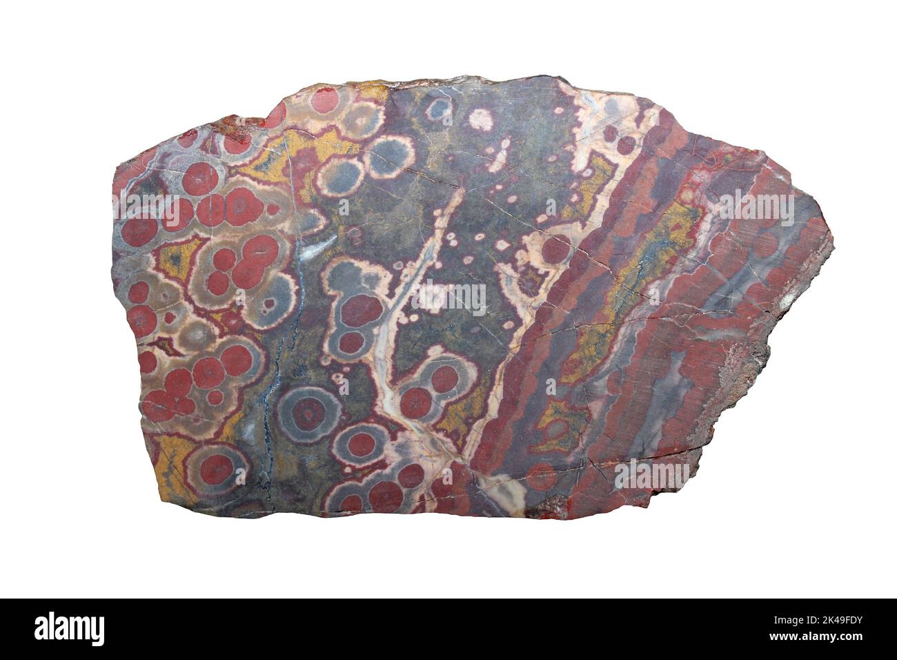 Poppy Jasper, Morgan Hill, Kalifornien Stockfoto