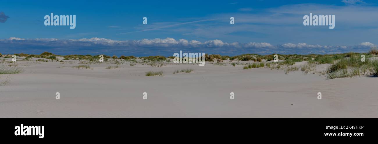 Weite Panorama-Dünenlandschaft auf der Insel Amrum Stockfoto