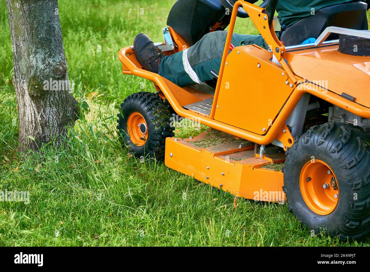 Professionelles Rasenmähen auf Rasenflächen mit einem Mini-Traktor-Rasenmäher. Stockfoto