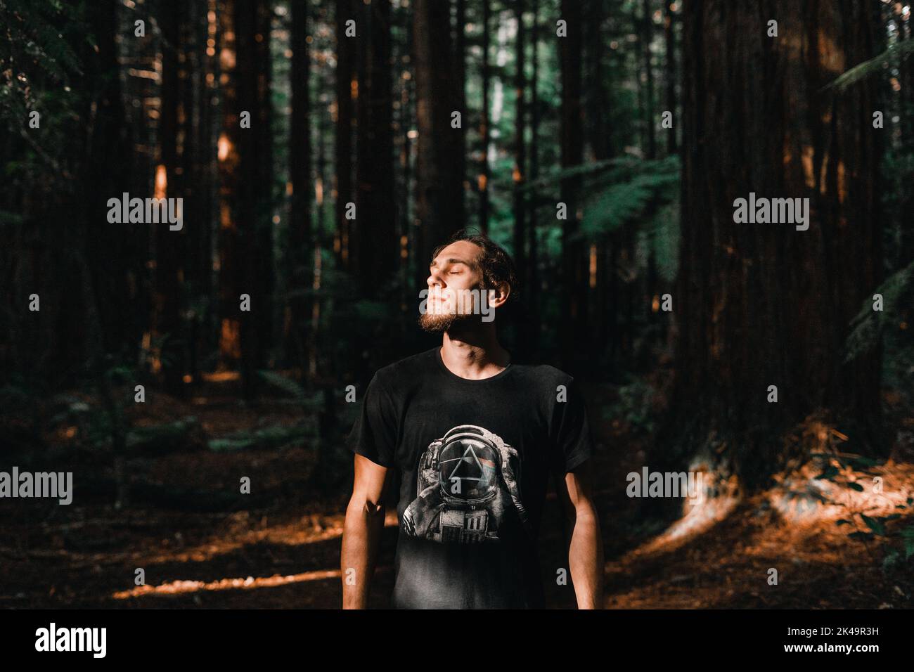 kaukasischer junger Mann mit Bart und geschlossenen Augen, beleuchtet durch Sonnenlicht, der die reine Waldluft ruhig atmet, Redwood-Baumwalk, rotorua, Neuseeland Stockfoto