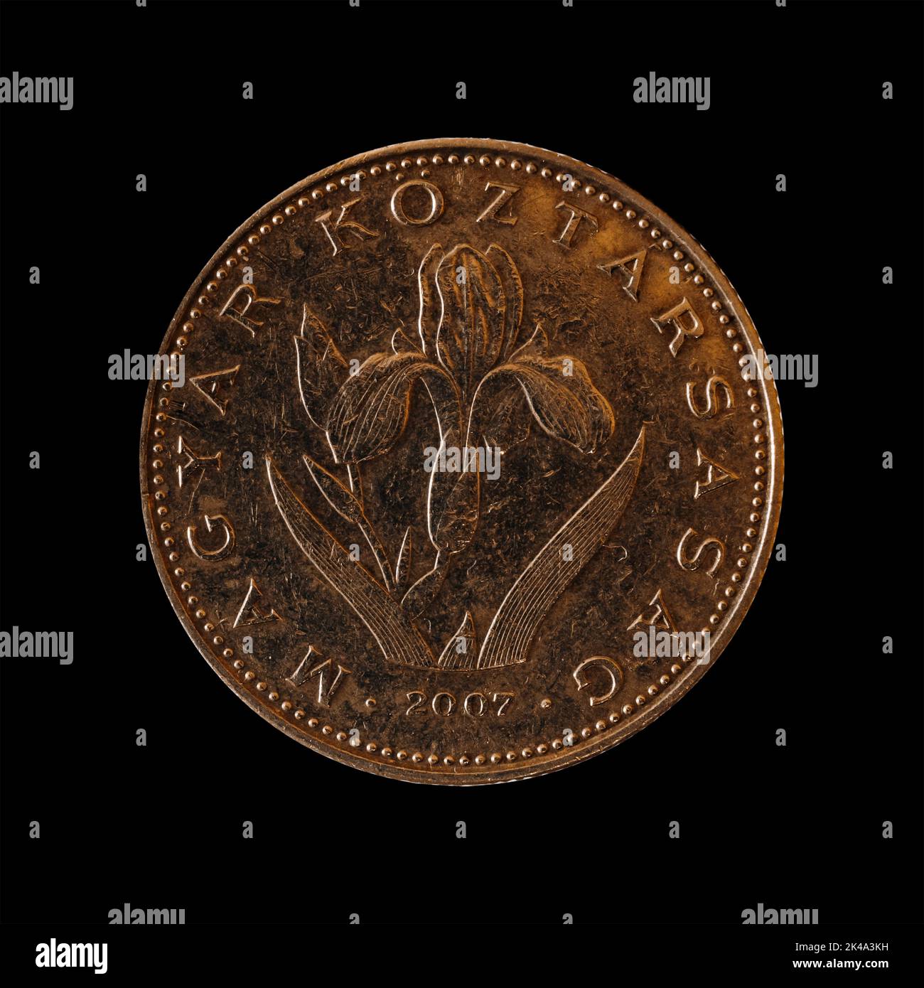 Nahaufnahme von Hungary Coin Forint 2002 auf schwarzem Hintergrund Stockfoto