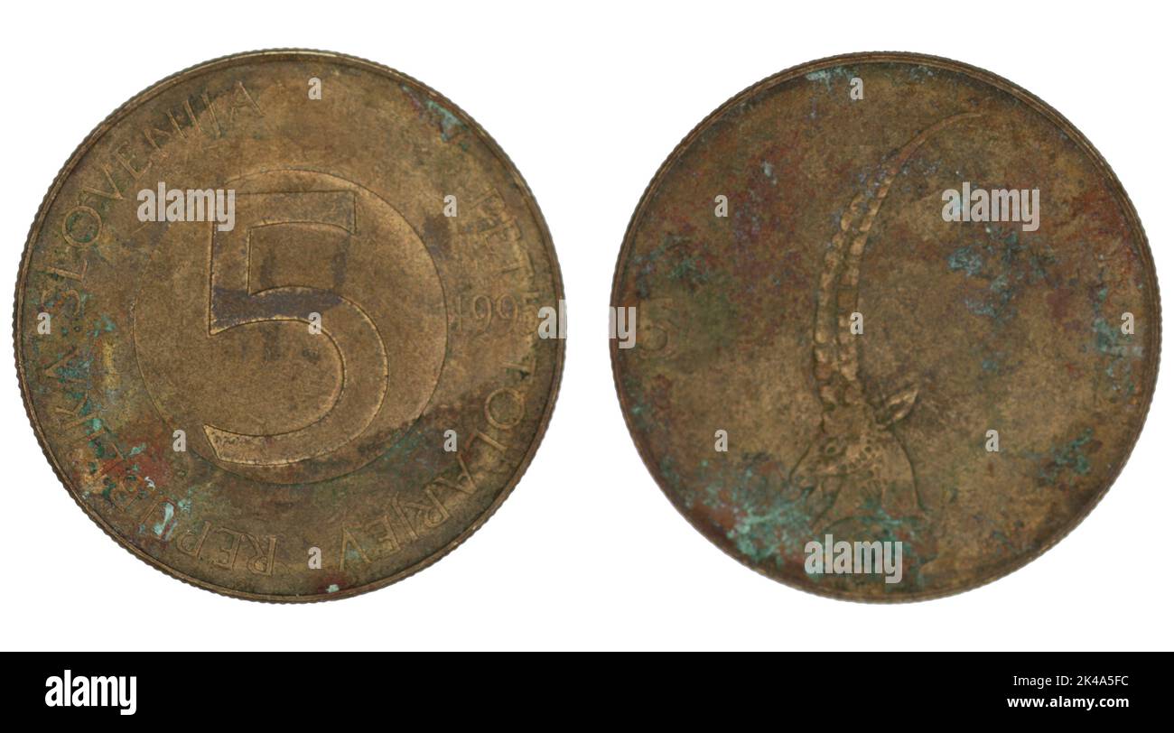 5 Slowenische Tolar-Münze auf beiden Seiten auf weißem Grund Stockfoto