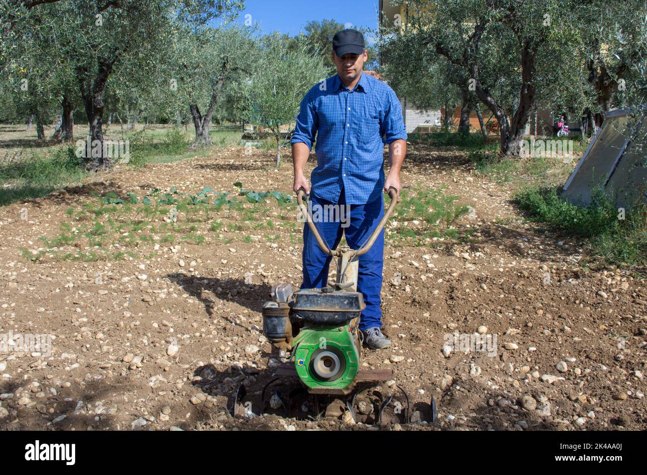 Bild eines Bauern, der mit einer Handfräse das Land für den Anbau seines Gemüsegartens vorbereitet. Stockfoto