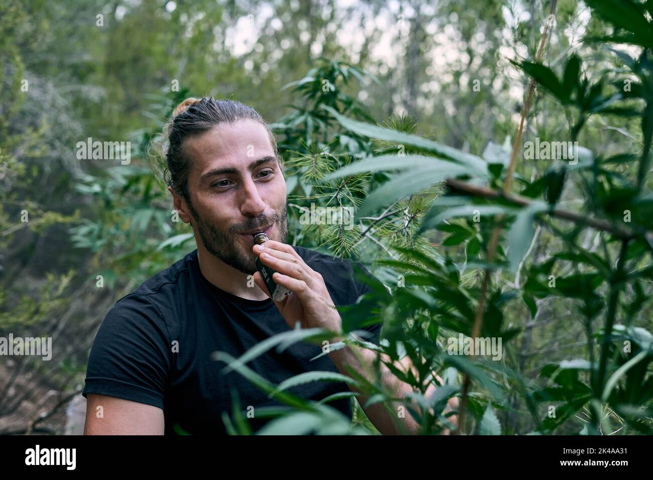 Ein lächelnder kaukasischer Mann, der in einem großen Cannabisgarten mit einer elektronischen Zigarette raucht Stockfoto