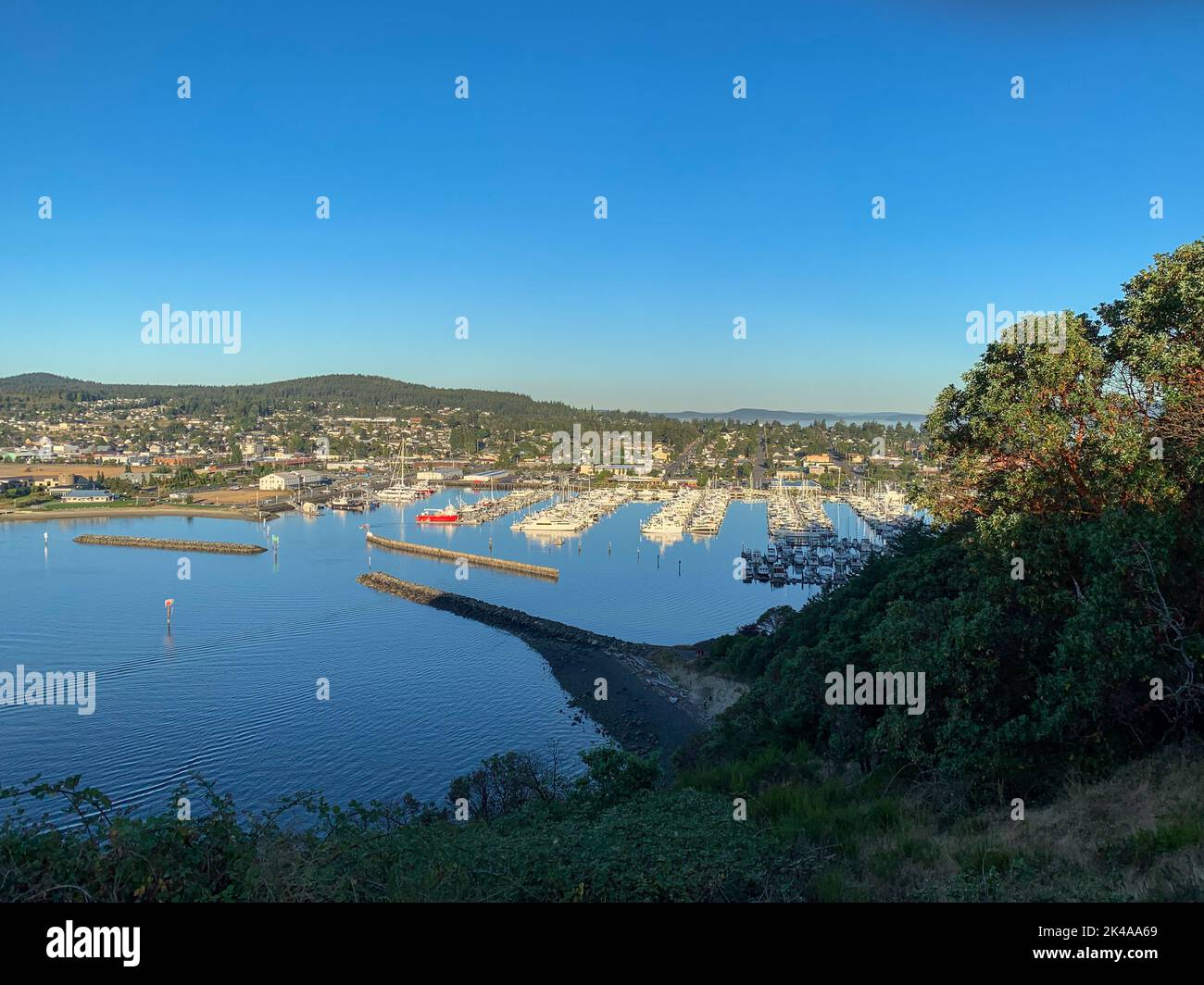 An einem Sommertag mit Blick auf den Jachthafen von Anacortes vom Cap Sante Park aus Stockfoto