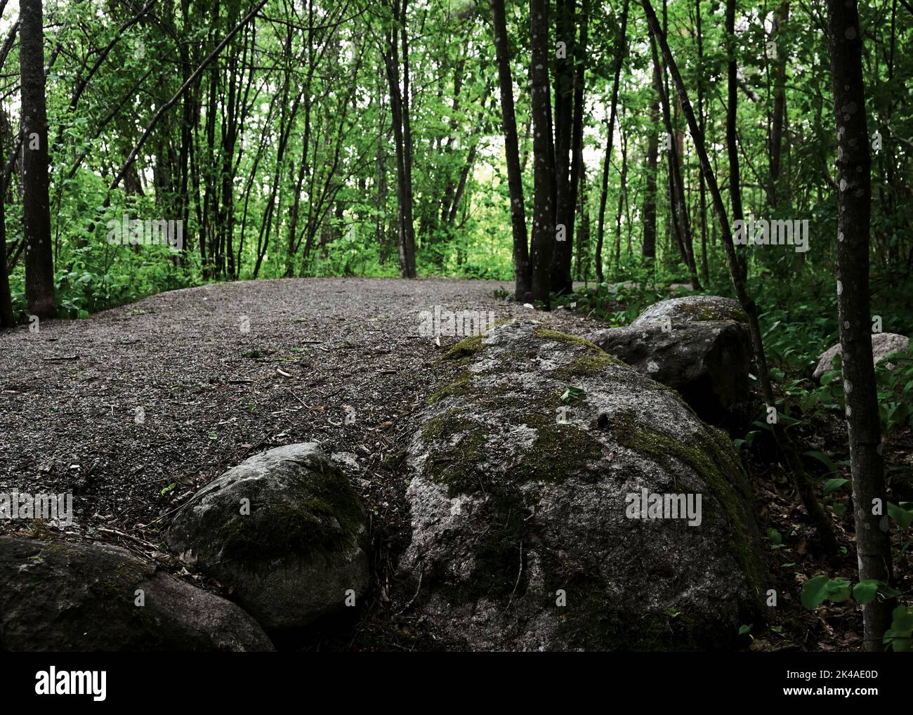 Zu Fuß Schotterweg im Park und Moos bedeckten Felsen Stockfoto