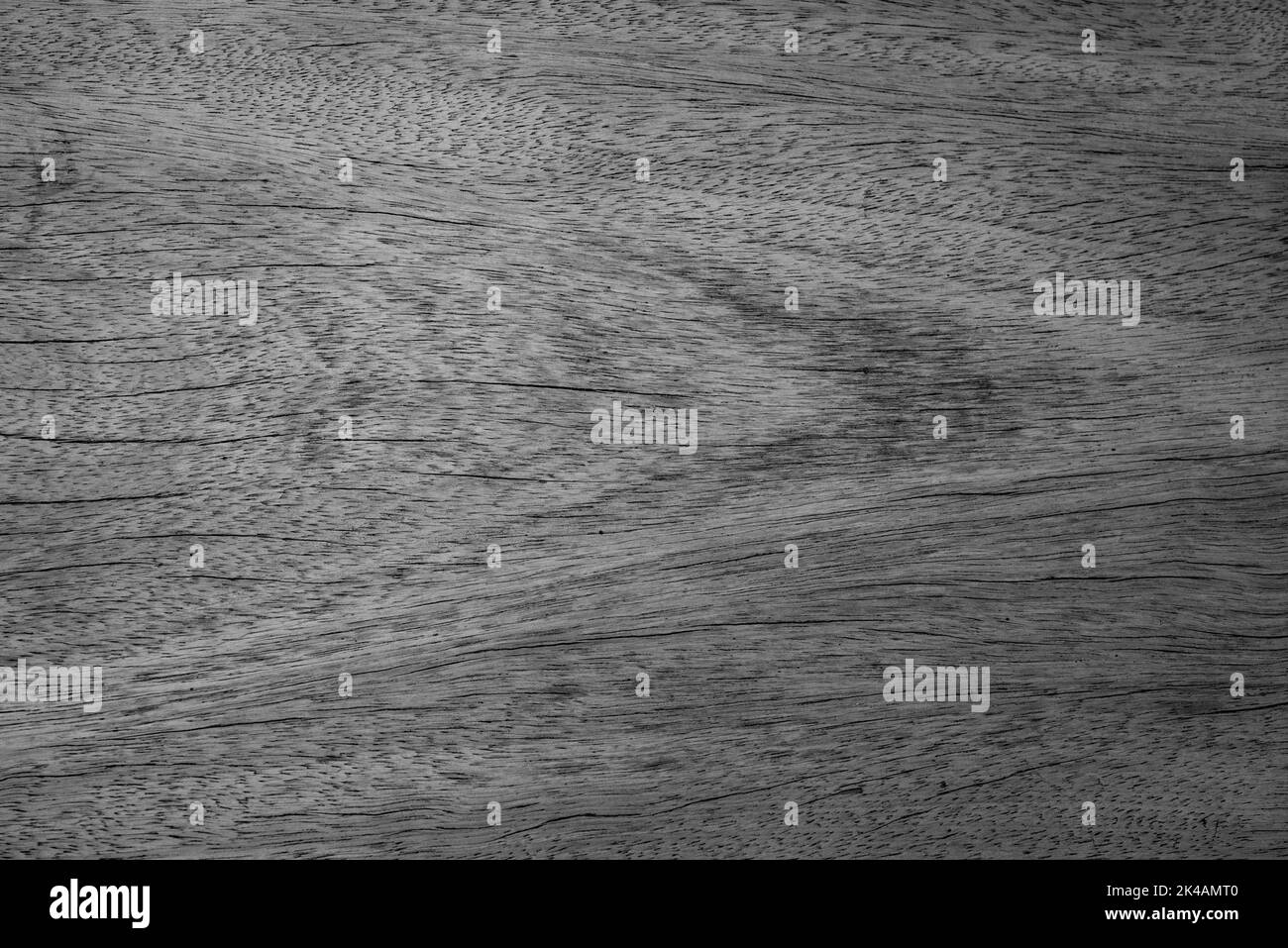 Hintergrund mit Holzstruktur. Grauer natürlicher Hintergrund. Horizontales Foto Stockfoto