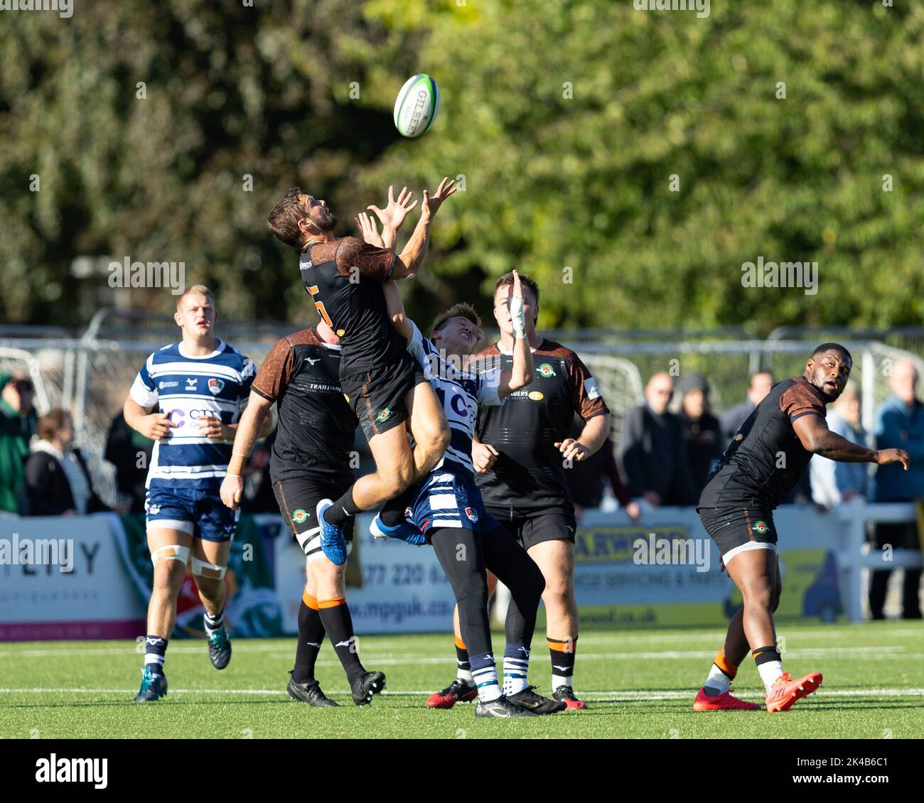 David Johnston von Ealing Trailfinders fängt beim Championship-Spiel einen Luftball ein Coventry Rugby gegen Ealing Trailfinders in der Butts Park Arena, Coventry, Großbritannien, 1.. Oktober 2022 (Foto von Nick Browning/News Images) Stockfoto